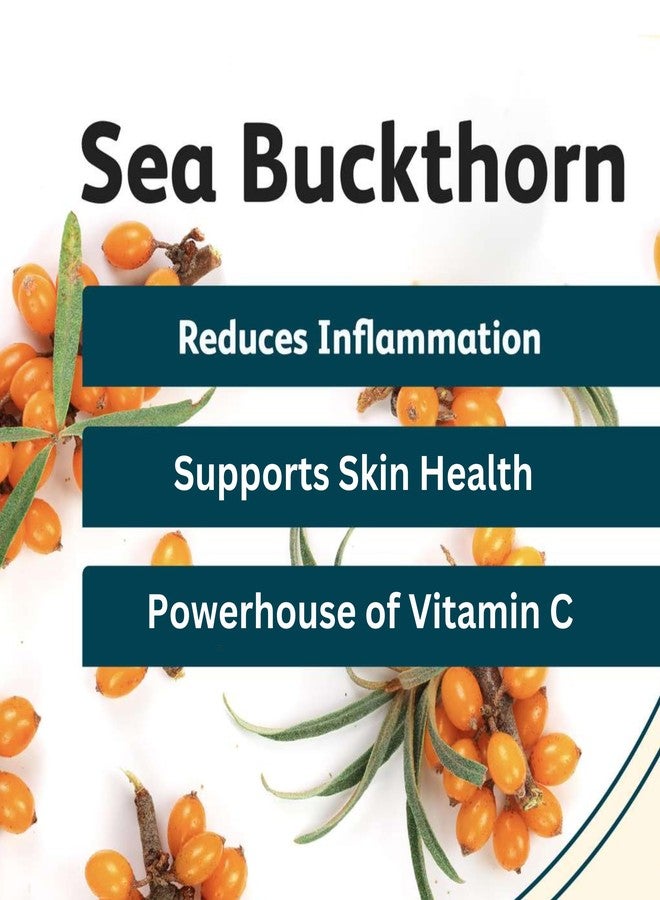 CONSA Organic Sea Buckthorn Berry Powder - 100% Pure Sea Buckthorn Powder - Source of Various Vitamins & Minerals (100 Gram) - Image 4